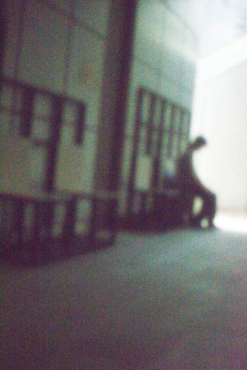 Shinjuku
#shinjuku
#tokyo
#photography 
#coregraphy 
#lovers_nippon
#photo
#photos 
#phos_japan
#moment
#pictures
#snapshot
#streetshared
#streetphotography 
#streetphotographers