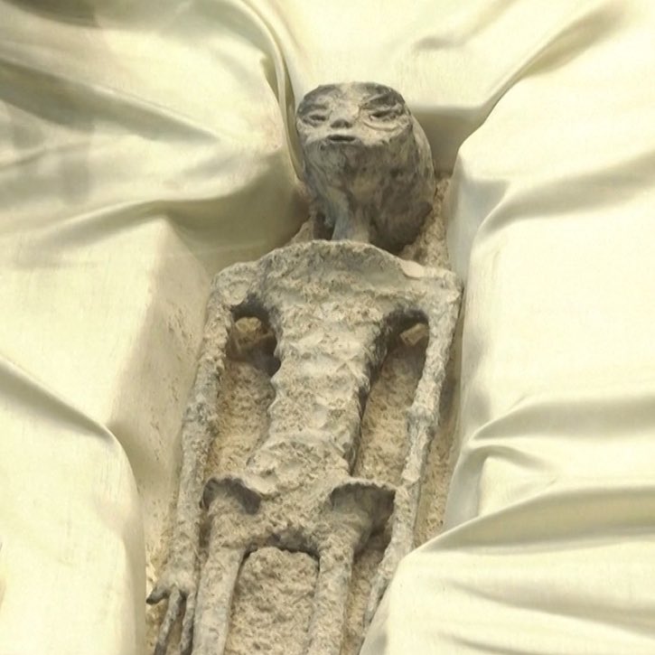 María Björk (@baragrin) on Twitter photo 