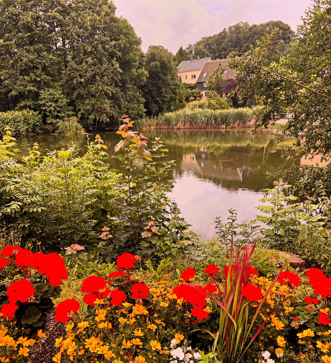 Tolle Farben am Volkshausteich in #Wüstenbrand. Dort haben wir den Spielplatz erweitert und einen barrierefreien Zugang geschaffen. Einfach mal anschauen 😃 #HohensteinErnstthal