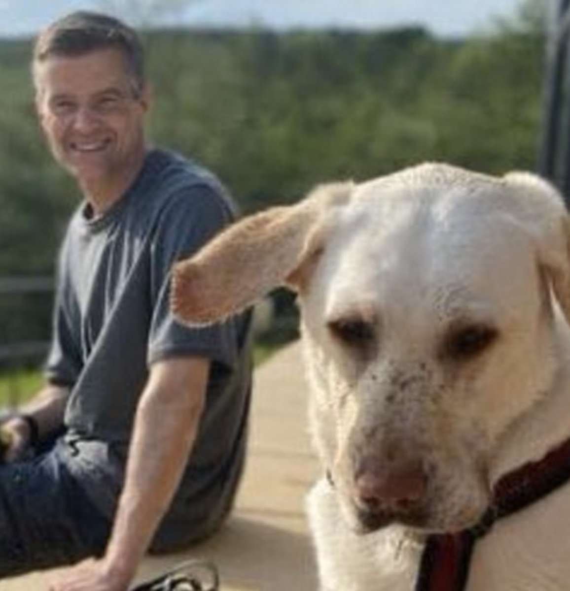 WorldMadness_1's tweet photo. Even his dog thinks heβs a useless tw*t #PMQs #MarkHarper https://t.co/A6jBci6wqS