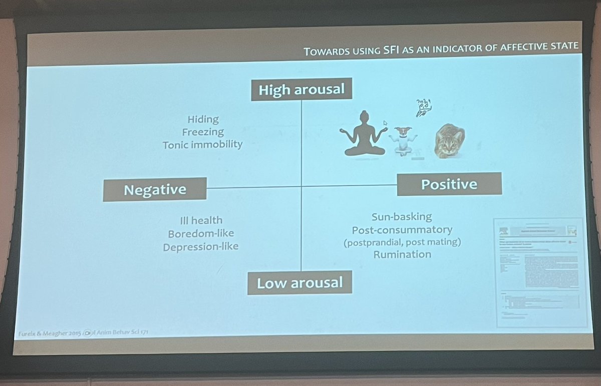 os_iyas's tweet image. Todays plenary at the #ISAE2024 by Carole Fureix on the topic: could elevated waking activity in the home environment indicate depression-like states in non-human animals?