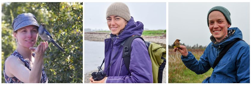 Dan Mennill (@dmennill) on Twitter photo This paper was led by Sarika Sharma <a href="/SSarika29/">SarikaS</a>, an amazing undergrad <a href="/UWindsor/">University of Windsor</a>, and by our Savannah Sparrow team: @SDobney2, <a href="/RyanNorrisSci/">Dr. Ryan Norris</a>, <a href="/steph_doucet/">Stéphanie Doucet</a>, <a href="/Newman_lab/">Amy Newman (she/her)</a>, <a href="/jbburant/">Joey Burant</a>, Ines Moran, <a href="/Sarahdmueller/">Sarah Mueller</a>, @hayleyannspina, and me.
Our paper: doi.org/10.1093/ornith…
🧵7/7 This paper was led by Sarika Sharma <a href="/SSarika29/">SarikaS</a>, an amazing undergrad <a href="/UWindsor/">University of Windsor</a>, and by our Savannah Sparrow team: @SDobney2, <a href="/RyanNorrisSci/">Dr. Ryan Norris</a>, <a href="/steph_doucet/">Stéphanie Doucet</a>, <a href="/Newman_lab/">Amy Newman (she/her)</a>, <a href="/jbburant/">Joey Burant</a>, Ines Moran, <a href="/Sarahdmueller/">Sarah Mueller</a>, @hayleyannspina, and me.
Our paper: doi.org/10.1093/ornith…
🧵7/7