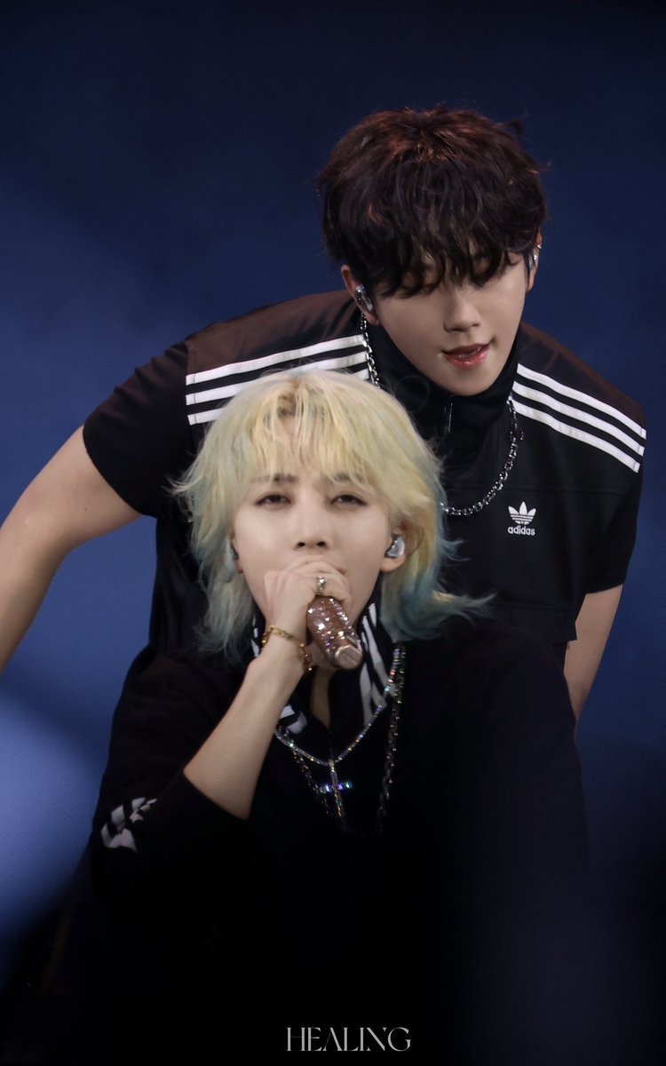 잠깐만................. 이것 뭐예요?.......
홍윤이 진짜 호랑이랑 백사자라고?