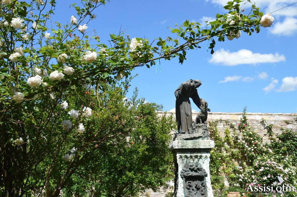 AssisiFans's tweet image. O Dio, nostra forza e nostra speranza, effondi su di noi la Tua misericordia perché, da Te sorretti e guidati, usiamo saggiamente dei beni terreni nella continua ricerca dei beni eterni. Amen.

#Buongiorno dal #roseto di #SantaMariadegliAngeli - #Assisi