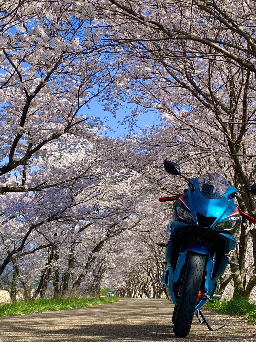 otton@YZF-R3 tweet media