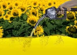 Comparto link para acceder a info semanal de Mercado de granos, vemos girasol y geopolítica.
salvadordistefano.com.ar/novedades/857/…