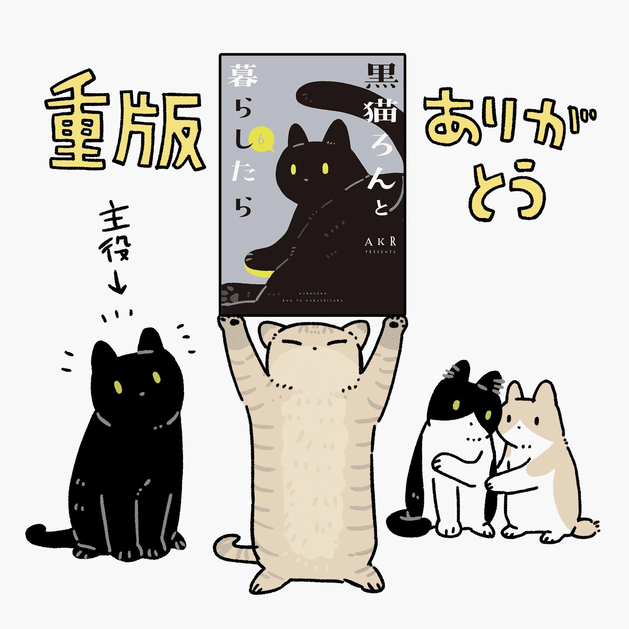 猫A 画像1 ＋ 14 最終値下げしました！ るかくらさん on X: 