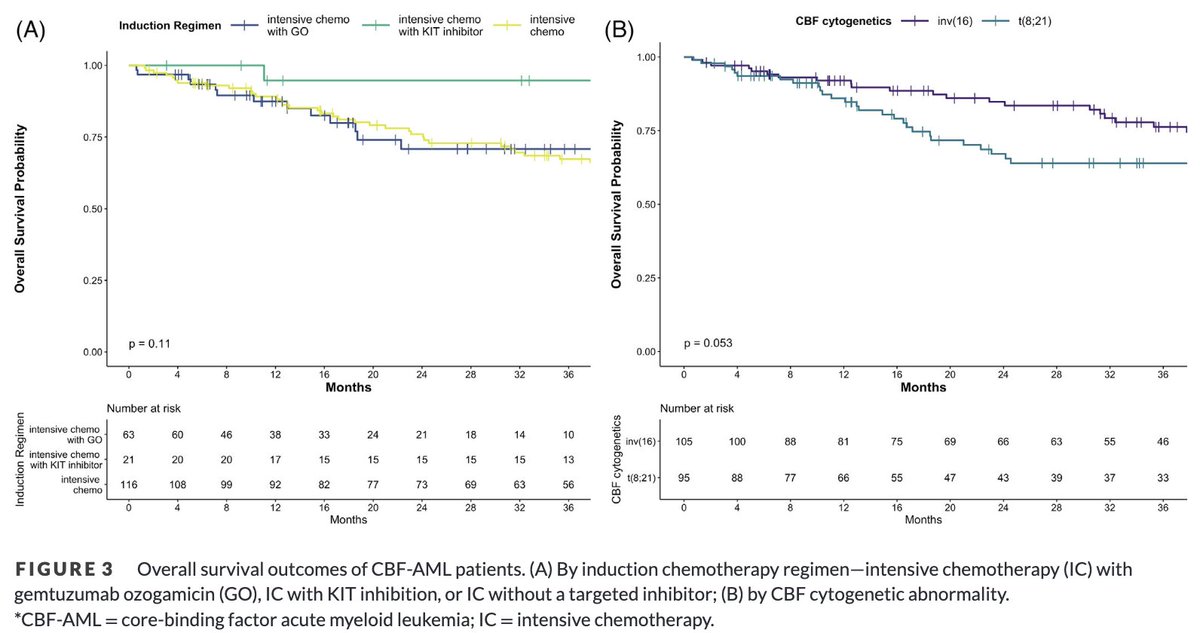 Anand Patel (@anand_88_patel) on Twitter photo Our analysis of intensive chemo (IC) in CBF-AML (200 pt) is out in <a href="/e_JHaem/">eJHaem Journal</a>! Kudos to lead author <a href="/AlexandraRojek/">Alexandra Rojek</a>
We found:
-similar EFS/OS betw IC + GO & IC alone
-longer 3y EFS w/ IC + KIT inhibitor (85%)
we eagerly await NCT02013648 results!
onlinelibrary.wiley.com/doi/10.1002/jh… Our analysis of intensive chemo (IC) in CBF-AML (200 pt) is out in <a href="/e_JHaem/">eJHaem Journal</a>! Kudos to lead author <a href="/AlexandraRojek/">Alexandra Rojek</a>
We found:
-similar EFS/OS betw IC + GO & IC alone
-longer 3y EFS w/ IC + KIT inhibitor (85%)
we eagerly await NCT02013648 results!
onlinelibrary.wiley.com/doi/10.1002/jh…