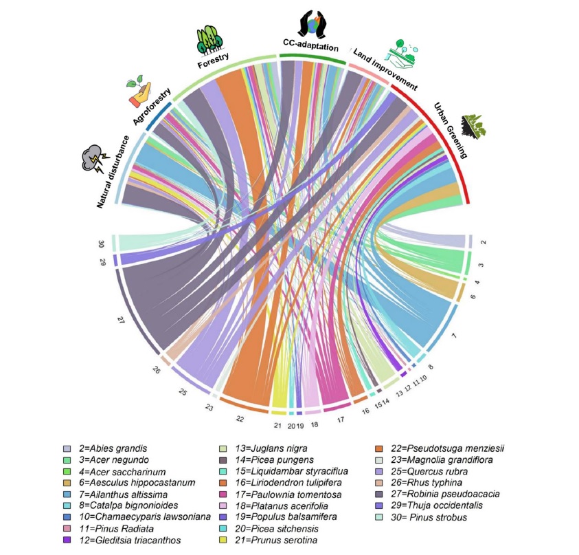 Check out new publication of <a href="/ReneeHazarika/">Reneema  hazarika</a> on stakeholder perspectives on Non-Native Trees in the  #European #Alpine Space - it is important to consider tradeoffs between the perception of invasiveness and potential benefits for ecosystem services 👉rdcu.be/dOOpF