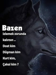 AkıncıTÜRK-17 - 🇹🇷 (@akinci171717) on Twitter photo 