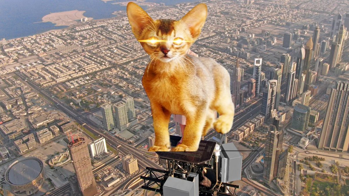 MythicTokenSol's tweet photo. We are on top the world

And $MYTHIC is just getting started 😎

DaBAxU8zCrZHZq61yTFoUmwq5AZx8gWYGR5JYrCRpump https://t.co/xlhT9FImze
