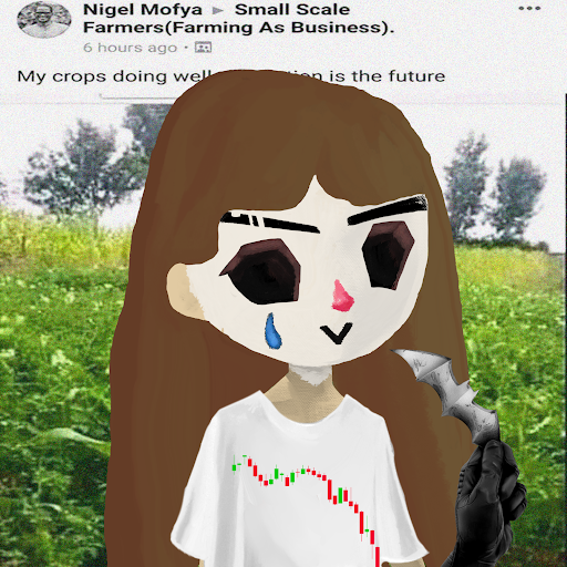 ScimmiaFrank's tweet image. spent 4k just to post this tweet

retardio.