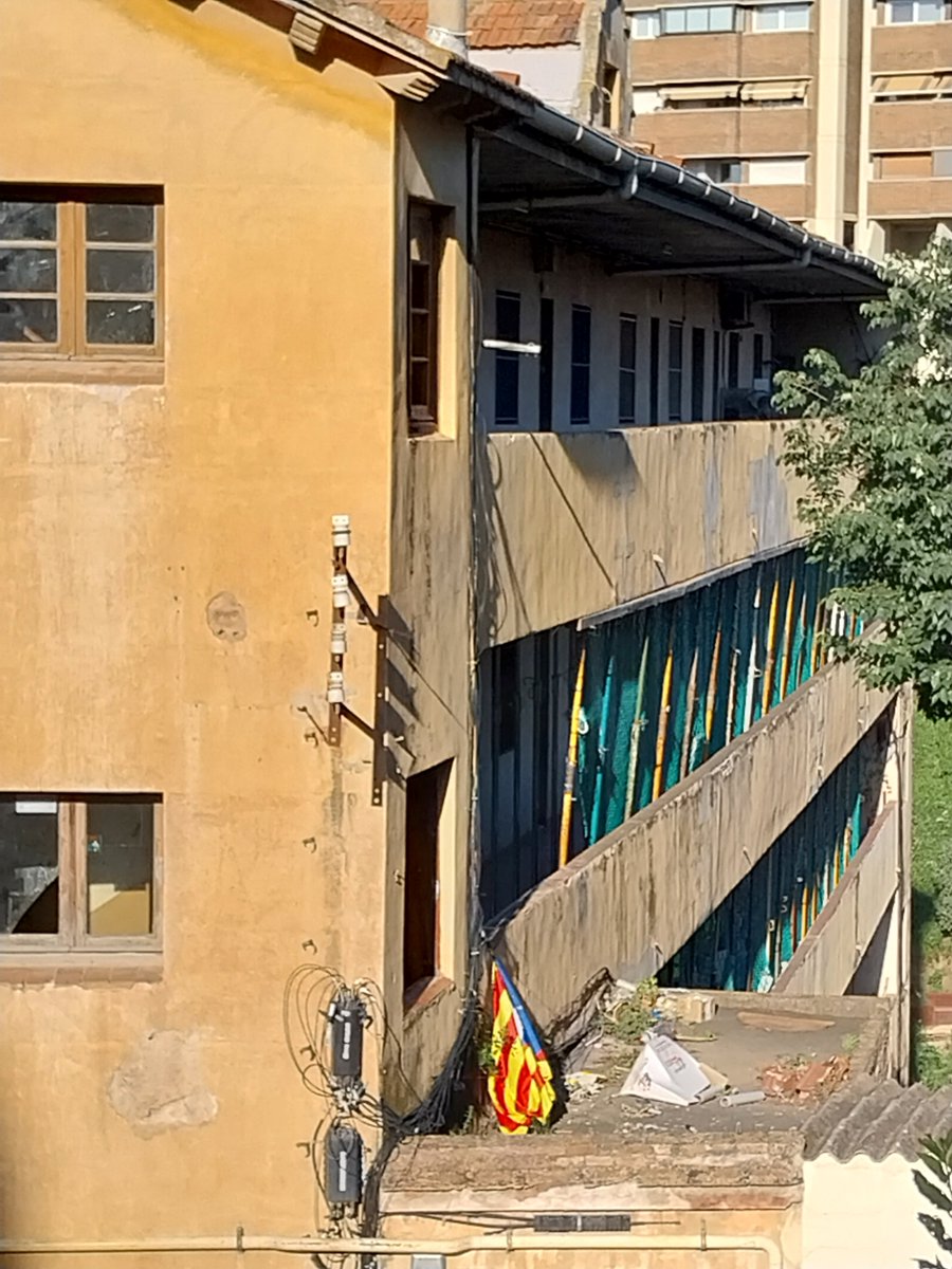 Isabel Almató Pi tweet media