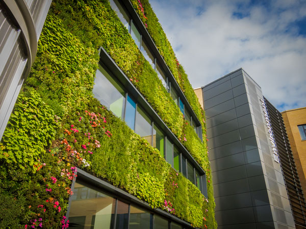 Department of Environment and Geography tweet media
