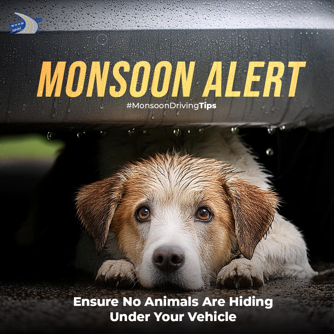 NHAI on X: "During the monsoon season, animals tend to take shelter under  the vehicles to protect themselves from rain. Check for any animal under  your vehicle before starting your journey to