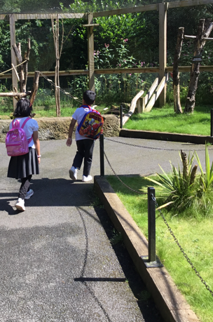 ManorfieldInf's tweet photo. Year 1 had a fantastic day at Ponderosa! The sun shone and the animals came out to see us. What a wonderful way to finish our year! 🌞🦦🐒🐍 https://t.co/l1pT3XkAod