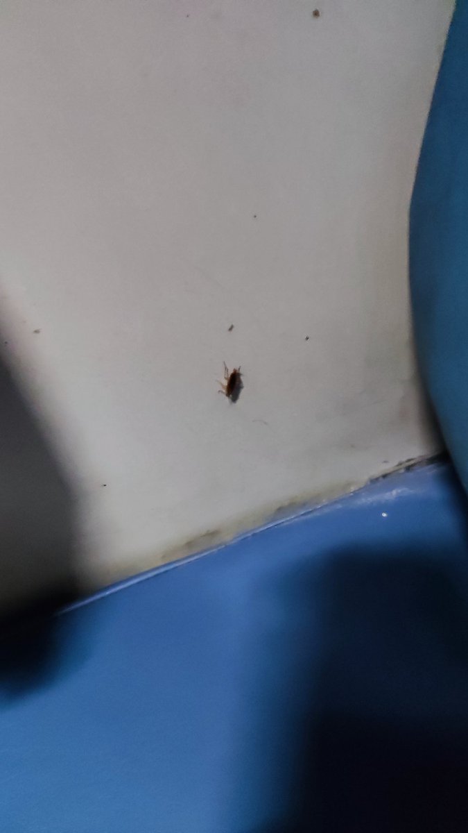 avinash singh tweet media