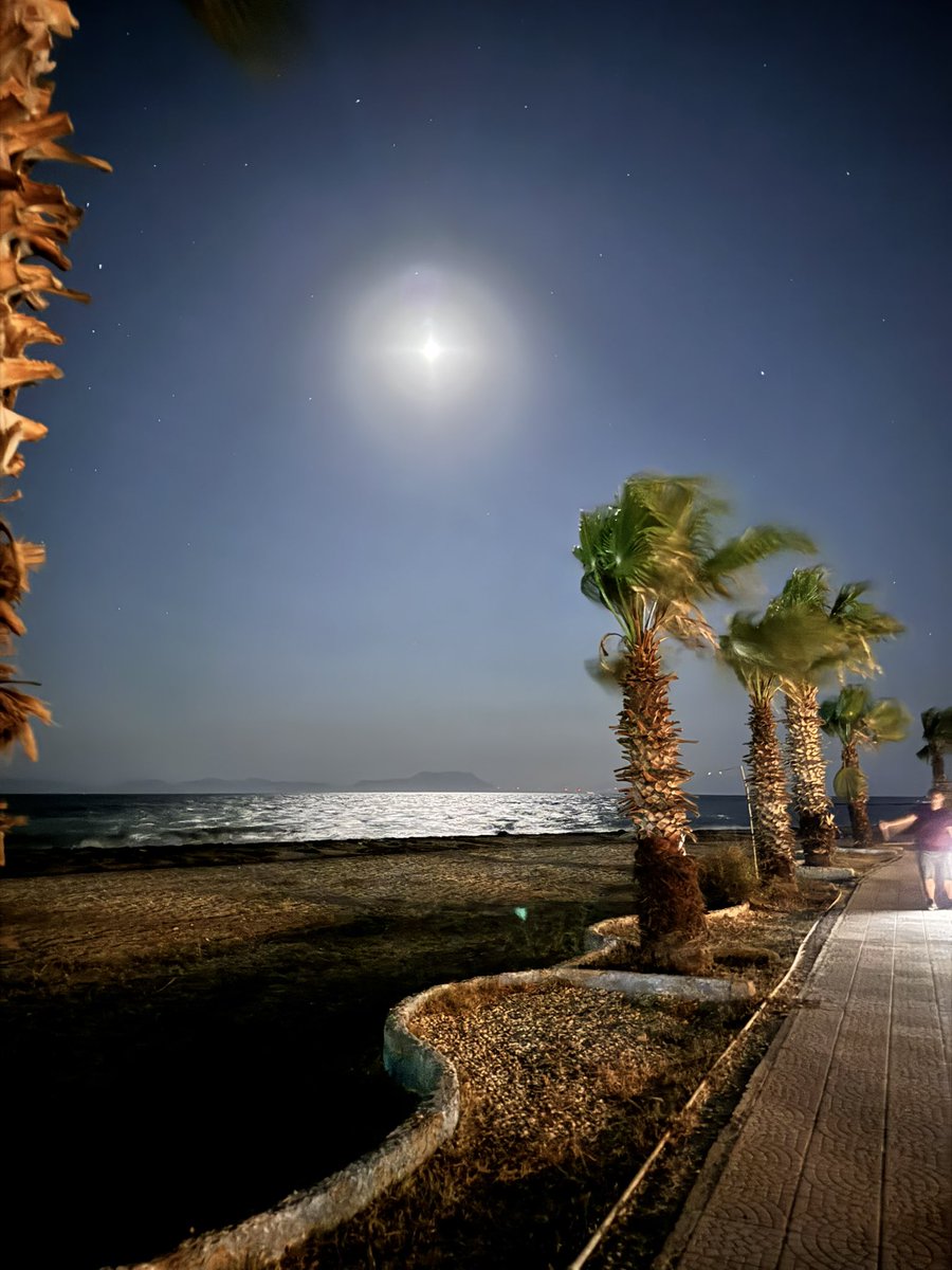 Kendimi şanslı hissettiğim bir sahil kasabasında yazımı geçiriyorum. Bir de şu yatlar pisliklerini denize bırakmasa… 
İnsanlar, güzel olan yerlere garezi var gibi davranıyor.