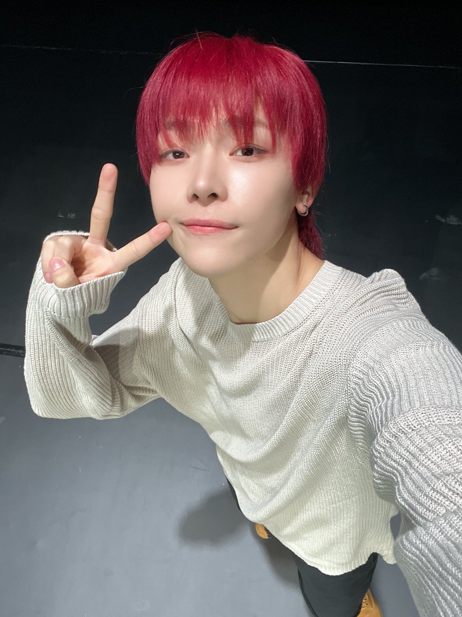 니코 진짜 너무 귀여운 애교냥이네