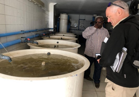 🐟#aquaponicproject
In March 2024, Aquaponics Project team, conducted a field visit to the Erongo region,  to assess potential sites for the construction of new aquaponic systems and to engage with prospective suppliers responsible for building the demo aquaponic systems.