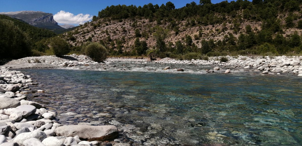 Yannick_Lavesk's tweet photo. Baignade rafraîchissante dans le Rio cinca #Aragón https://t.co/dRkEhXoi6T