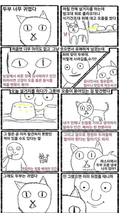 원본 
