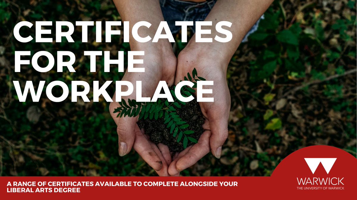 Warwick Liberal Arts tweet media