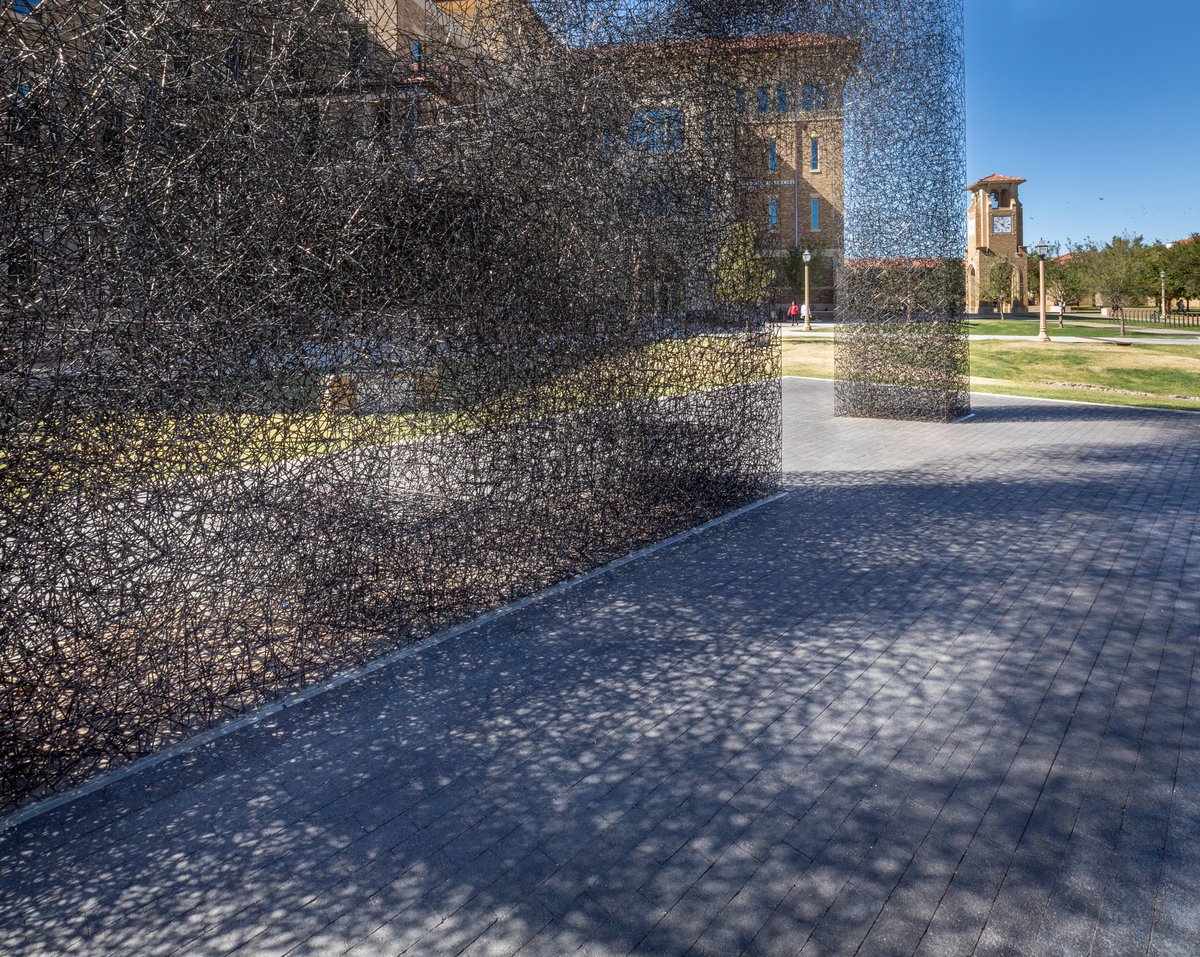 Created by Lead Pencil Studio, “Oblique Intersection” sits by TTU’s Experimental Sciences Building II. As you walk around this piece made entirely of stainless steel rods, it changes with your perspective. Have you gone and explored this piece? #ttuarttrek #ttuspublicart