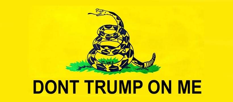 Alan Zetting tweet media