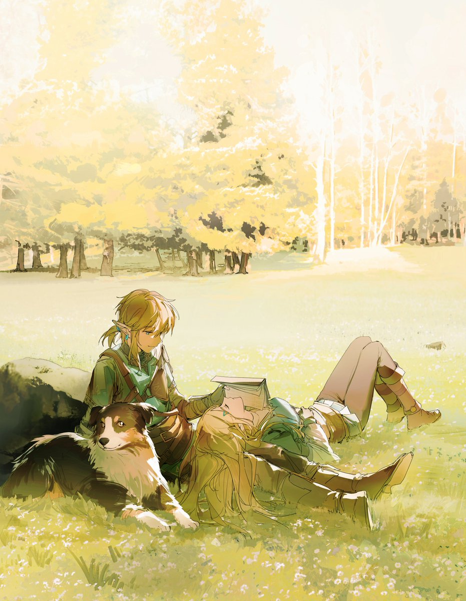 #zelda #zelink