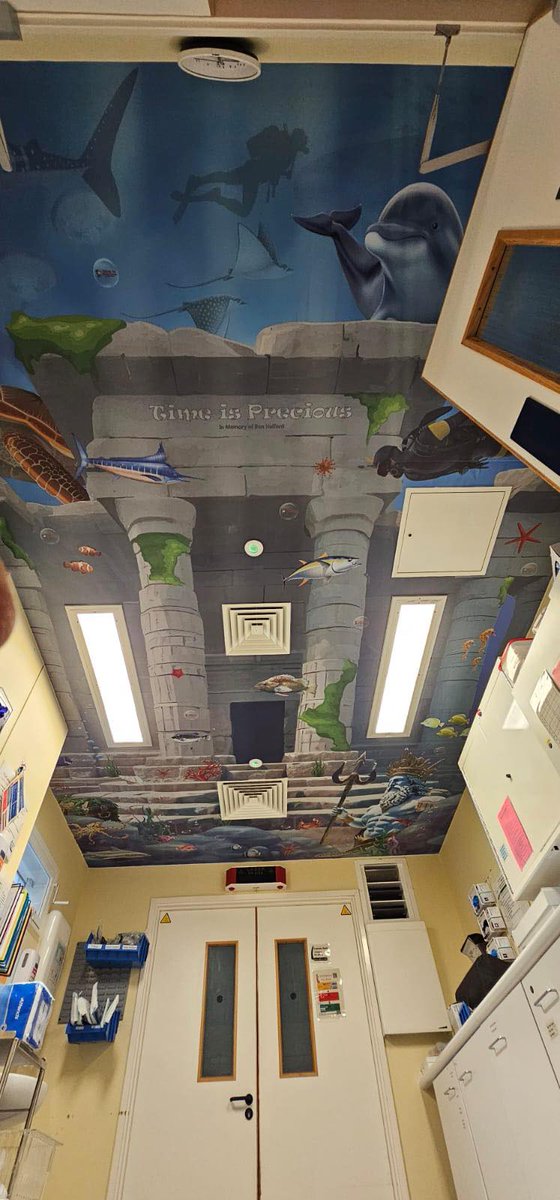 Another project completed in <a href="/RUHBath/">RUH Bath 🏥</a> in an anaesthetic room this time on the ceiling. #distraction #lessclincial #LetsDoMoreTogether #makingadifference for children in hospital.