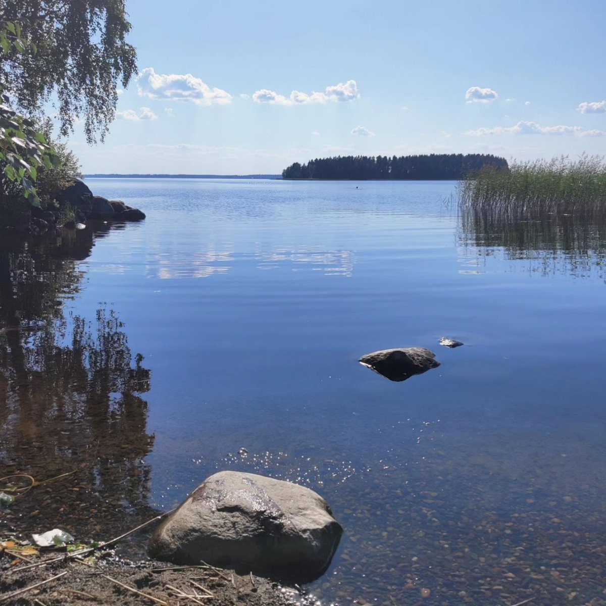 Suomen kesä 🥰 Leppoisa hetki Pyhäselän rannalla, lähellä "kihlakiviä" eli paikkaa jossa vaihdettiin sormukset aika kauan sitten juhannuksen tienoilla...