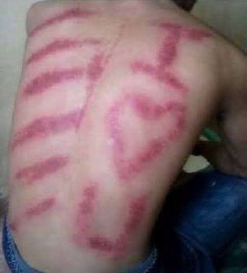 🏝 tweet media