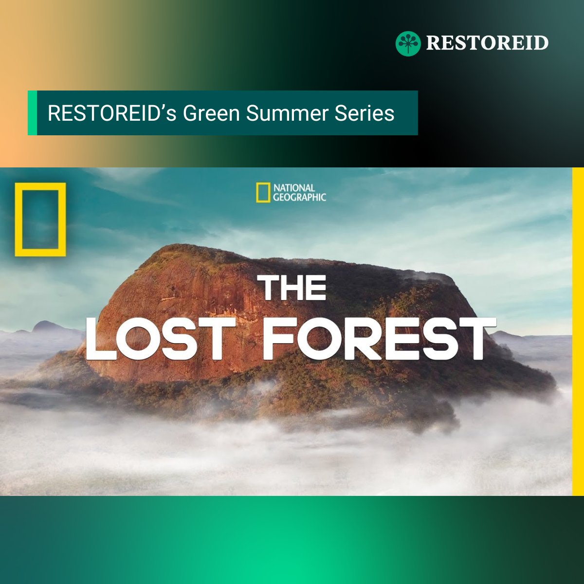Watch "The Lost Forest," a NatGeo doc on scientists exploring an untouched forest in Mozambique. 🌍🌲

📽️ Watch: youtube.com/watch?v=aDoanN…

Inspired by Dogwood Alliance article by Nataly Perez Manrique.

#RESTOREID #GreenSummerSeries