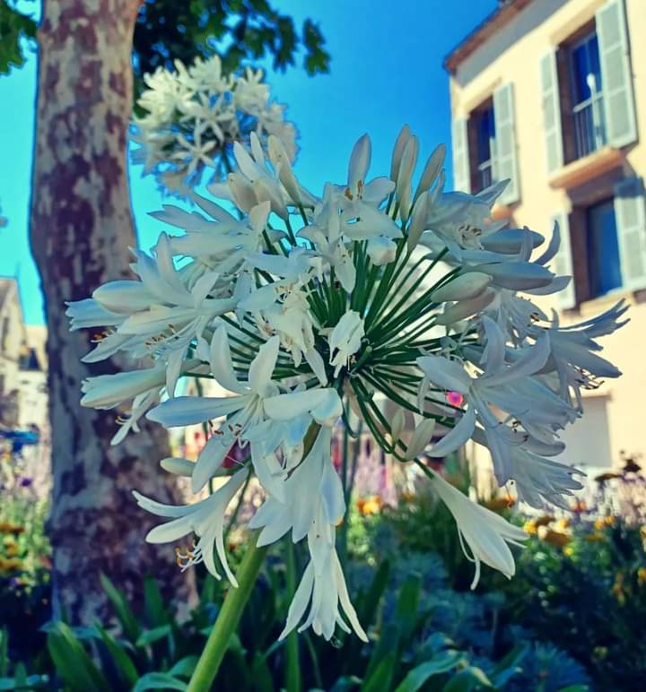 Sandrine Lorans (@colorsandar) on Twitter photo 