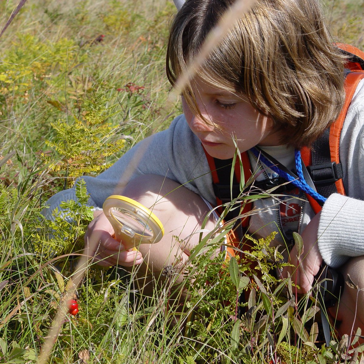 Still a few spots left for tomorrow’s Theme Day: The Ants Go Marching! Free program for kids ages 5-12, Thursday at 10-11:30am. Get up close and personal with these small but mighty insects patrolling our prairie. Adult supervision is required. Call 204-832-0167 to register!