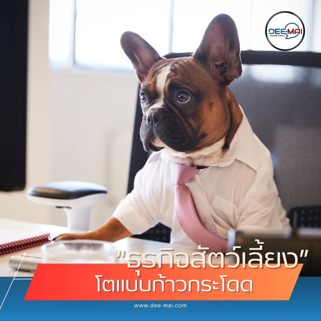 deemaichannel's tweet image. #ธุรกิจสัตว์เลี้ยง โตไว รายได้กว่า 2.5 แสนล้าน
#Petfluencer เปิดโอกาส การลงทุนธุรกิจ
#ExoticPet เทรนด์ใหม่ อุตสาหกรรมสัตว์เลี้ยง
อ่านต่อ: dee-mai.com/eco12393
ติดตาม: dee-mai.com #Deemaichannel 
#อุตสาหกรรมสัตว์เลี้ยง #เทรนด์สัตว์เลี้ยง #PetFriendly