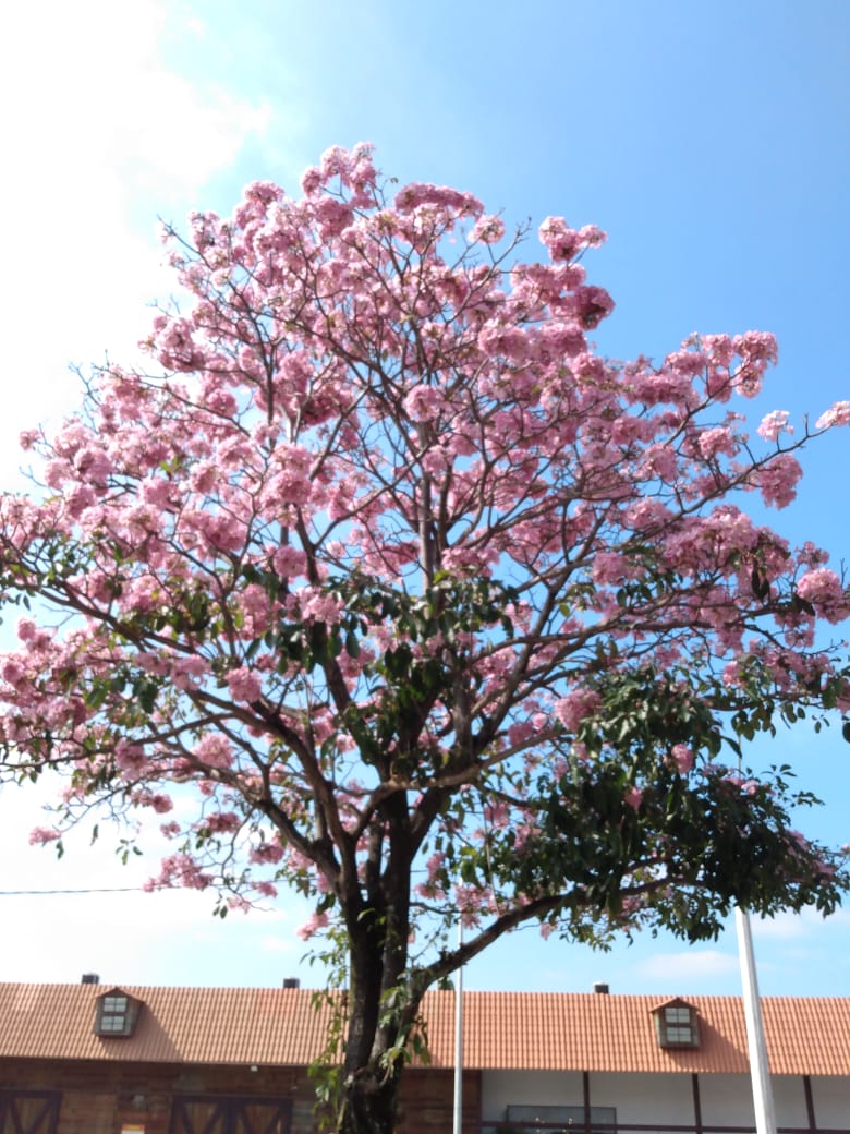 Renata Ramos 🇧🇷🎸 tweet media