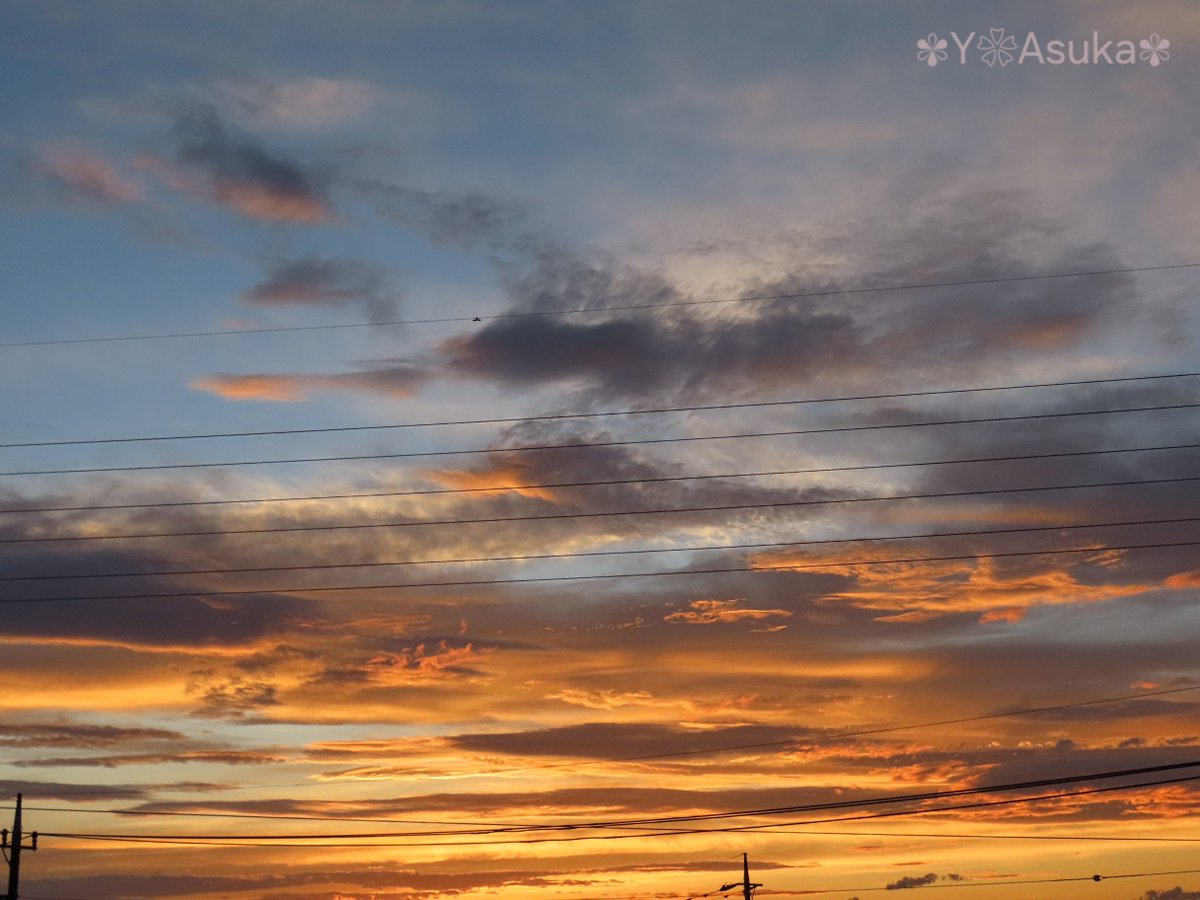 yumeasutw's tweet photo. #ゴールデンアワー ✨
雷雨が去った日の入り間近🌇
雲が段々晴れて
黄金色に煌めく #夕焼け が
広がりました✨
#夕空 #電柱 #電線
#マジックアワー #sunset
#高積雲 #積雲 #巻雲
#空の名前
#天気の図鑑 #雲の超図鑑
#レイリー散乱
#a2024 #a0724 #a202407 #a2024074 https://t.co/bWtYzWBcWX