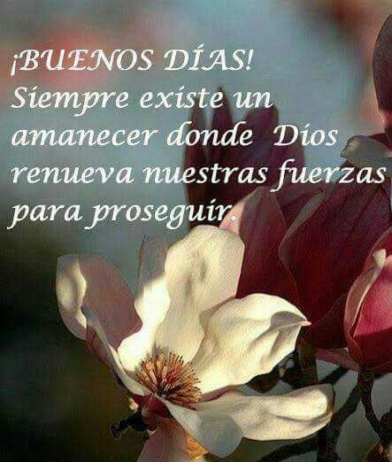 Rodolfo11061969's tweet photo. @ladelmar_ Hola https://t.co/3MHsi14hN4