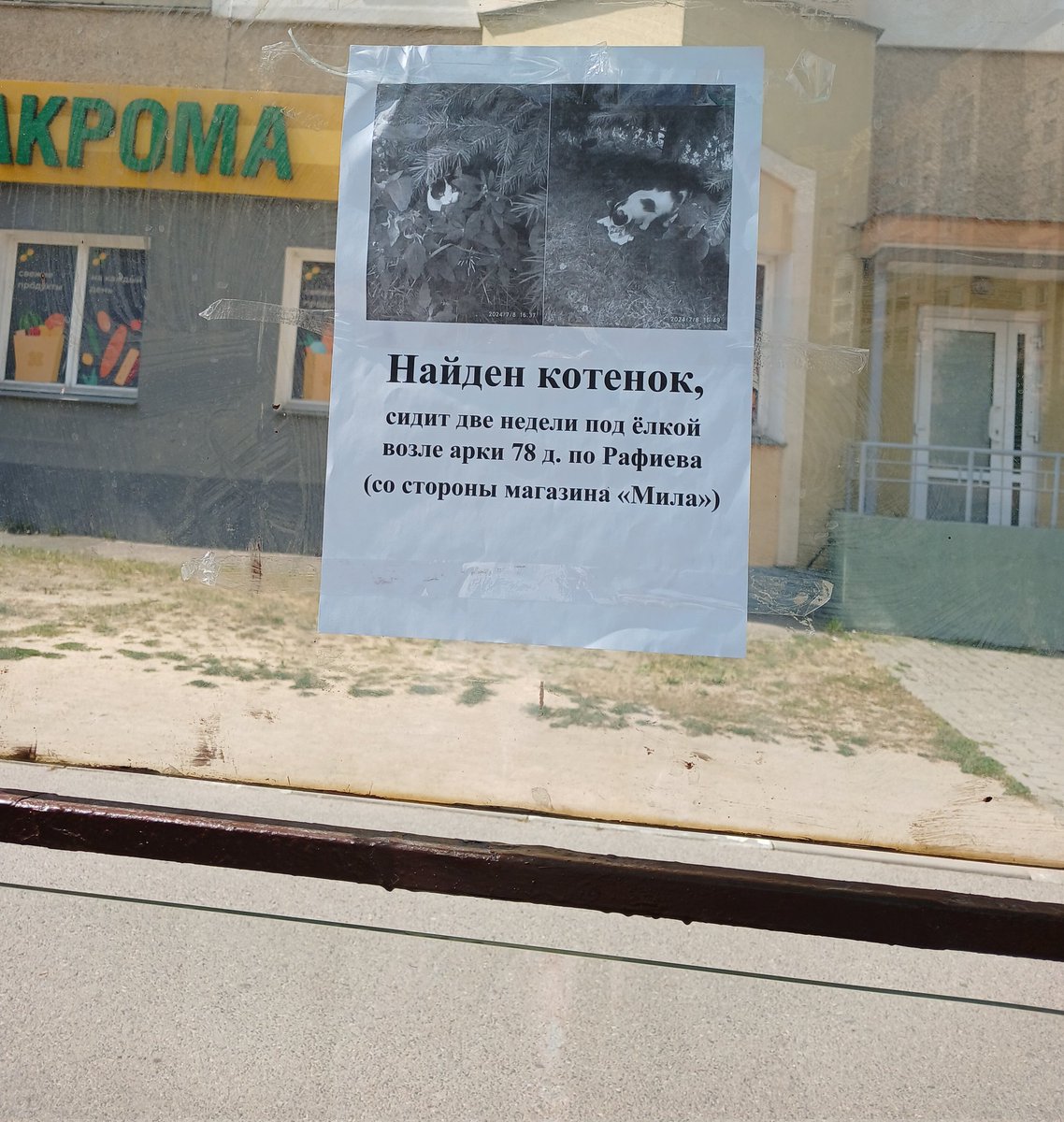 ‼️‼️‼️ ATTENTION ‼️‼️‼️

‼️Минск, потерялся котёнок ‼️

Помогите хозяевам найти котёнка!! Пожалуйста максимально распространите🥹🥹🙏🏻 Помогите малышу найти своих хозяев ‼️