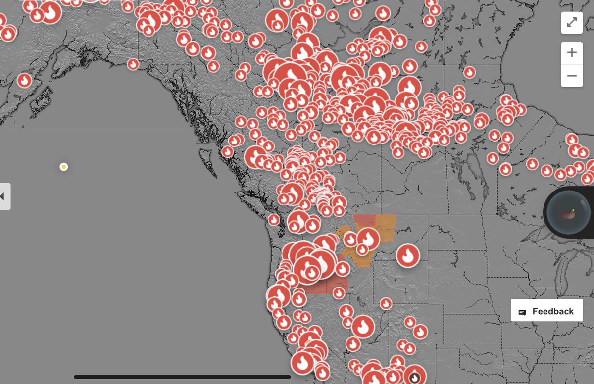 Lyle Lewis tweet media