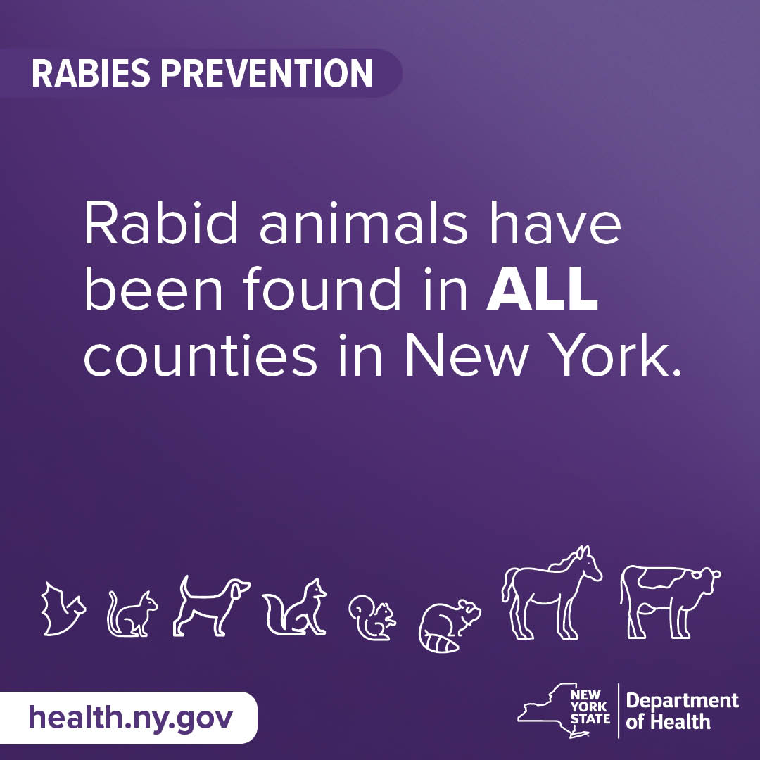 NYSDOH on X: “.@NYHealthCommish: “Even if animals are small and