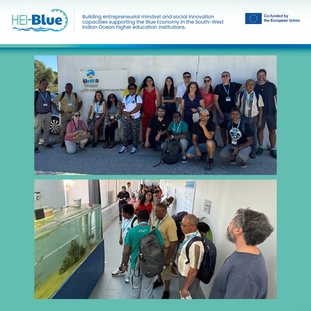 HEI-Blue 🪼 tweet media