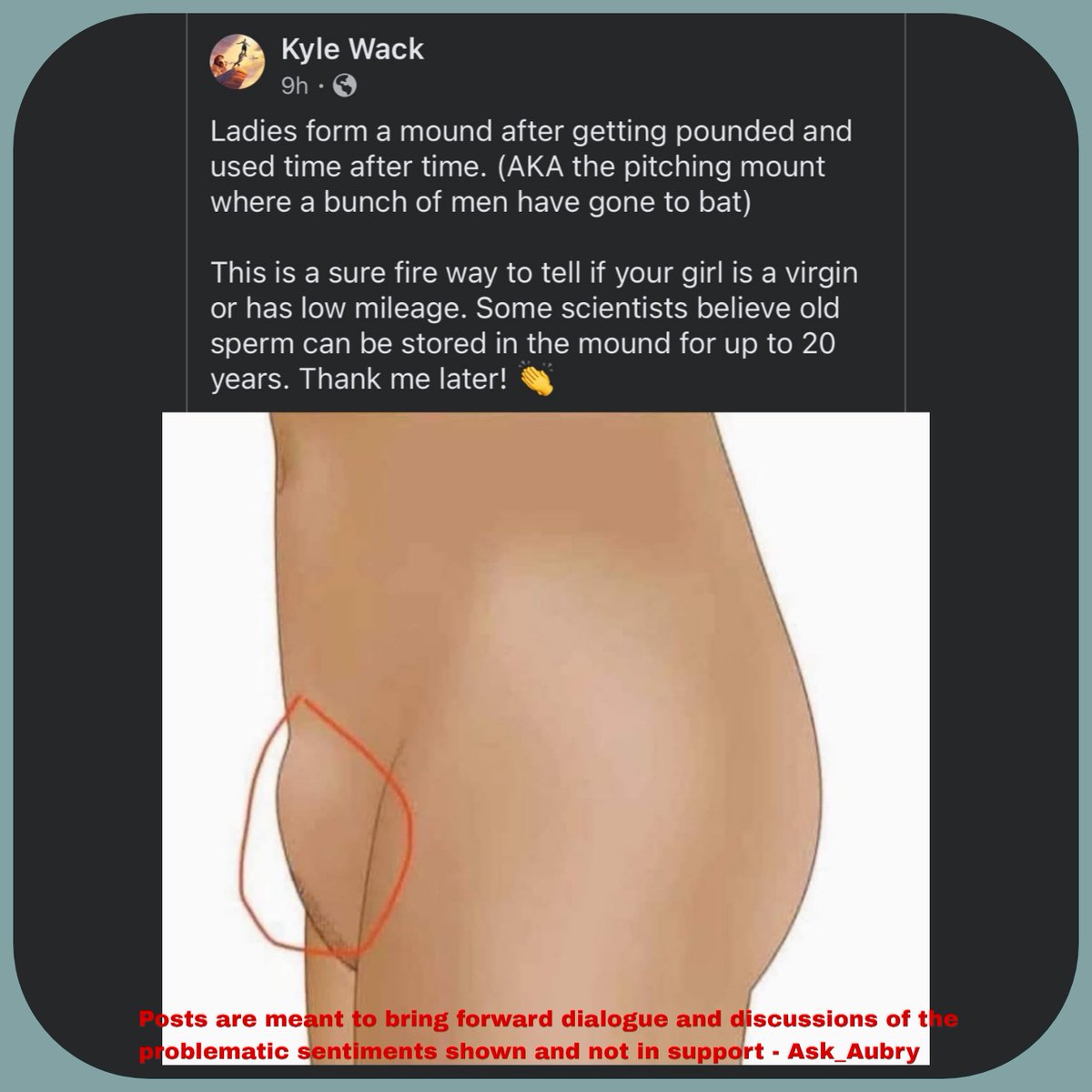 AskAubry 🦋 🐆🦝 tweet media