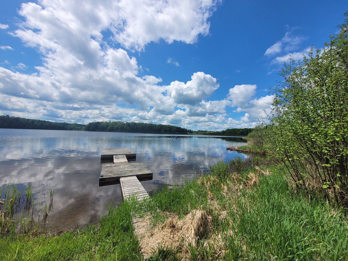 Bluealien47 tweet media