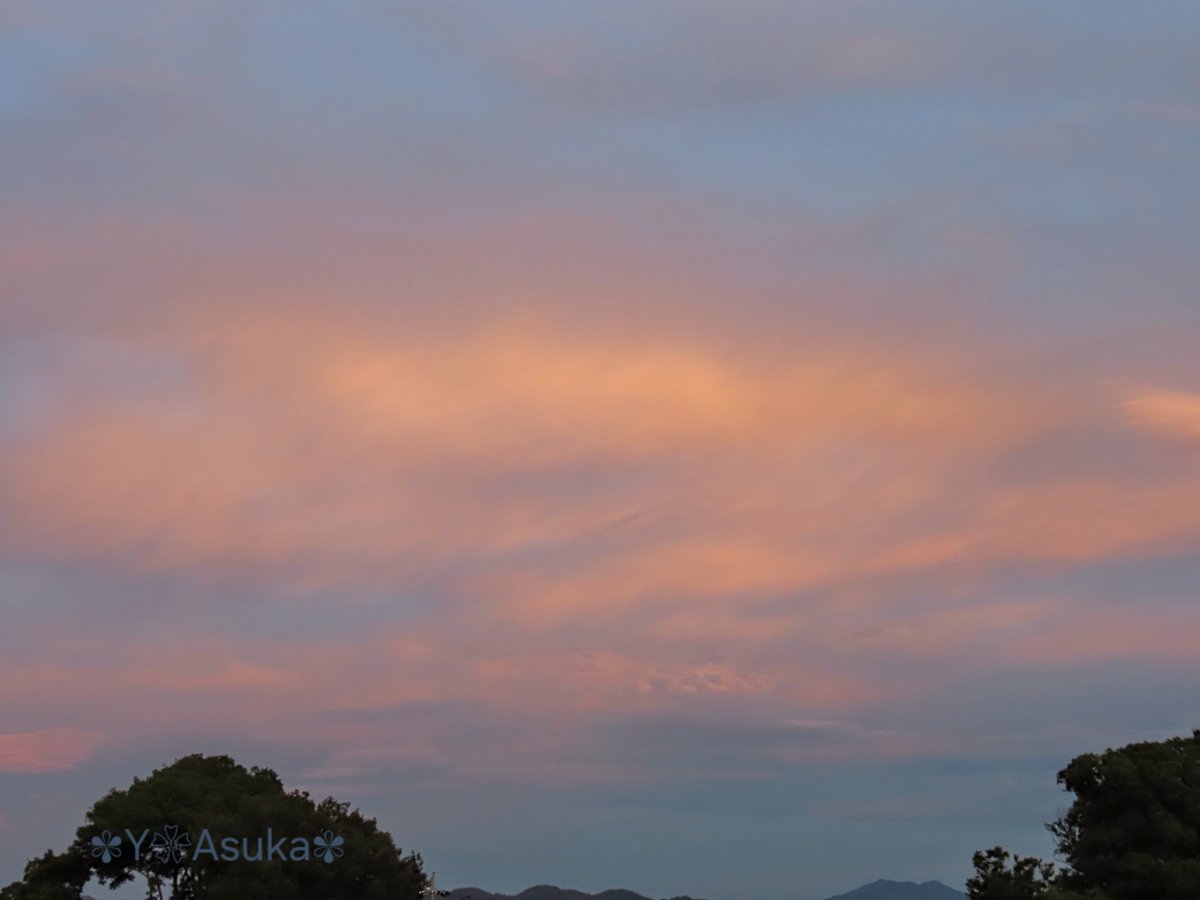 yumeasutw's tweet photo. 日の入り目前
東の空も桃色に🍑
しなやかに流れる #すじ雲
#巻雲 の向こうに #吊るし雲 ?
頭上には淡い桃色の #高積雲
#夕空 #夕焼け
#マジックアワー #sunset
#空の名前
#天気の図鑑 #雲の超図鑑
#空 #sky #空が好き
#雲 #cloud #空と雲
#a2024 #a0724 #a202407 #a2024074 https://t.co/0xsMU2ckBX
