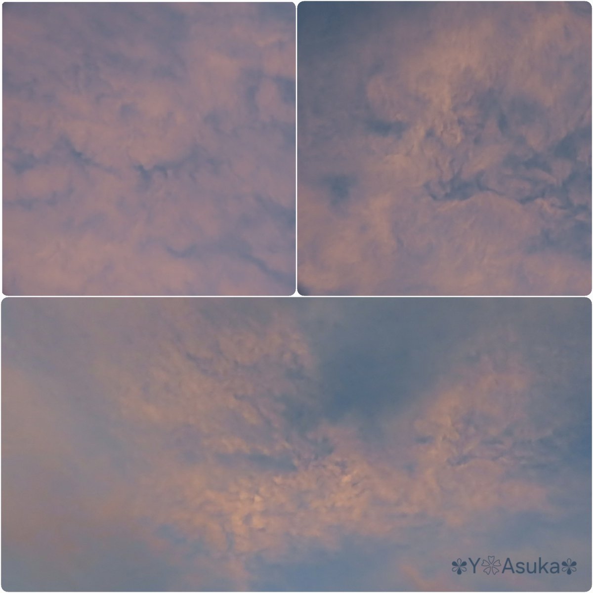 yumeasutw's tweet photo. 日の入り目前
東の空も桃色に🍑
しなやかに流れる #すじ雲
#巻雲 の向こうに #吊るし雲 ?
頭上には淡い桃色の #高積雲
#夕空 #夕焼け
#マジックアワー #sunset
#空の名前
#天気の図鑑 #雲の超図鑑
#空 #sky #空が好き
#雲 #cloud #空と雲
#a2024 #a0724 #a202407 #a2024074 https://t.co/0xsMU2ckBX