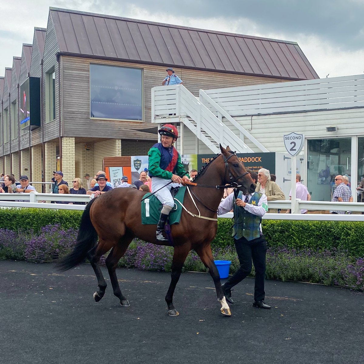 CatterickRaces's tweet photo. CHUTI MANIKA is best turned out ahead of our first race, kindly chosen by Tony Emmott and the Bradford Club Optimists - congratulations to David from @Johnston_Racing who got him ready! https://t.co/eolbrkTIDg