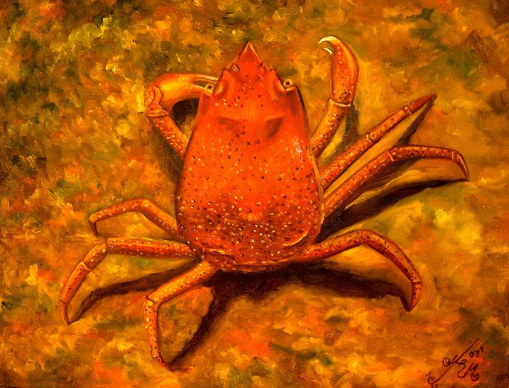 Art of the Day: "Toad Crab". Buy at: ArtPal.com/MargaritaMaxso…